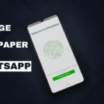 How to Change Your Chat Wallpaper on WhatsApp